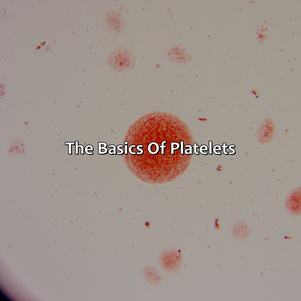 The Basics Of Platelets  - What Color Are Platelets, 