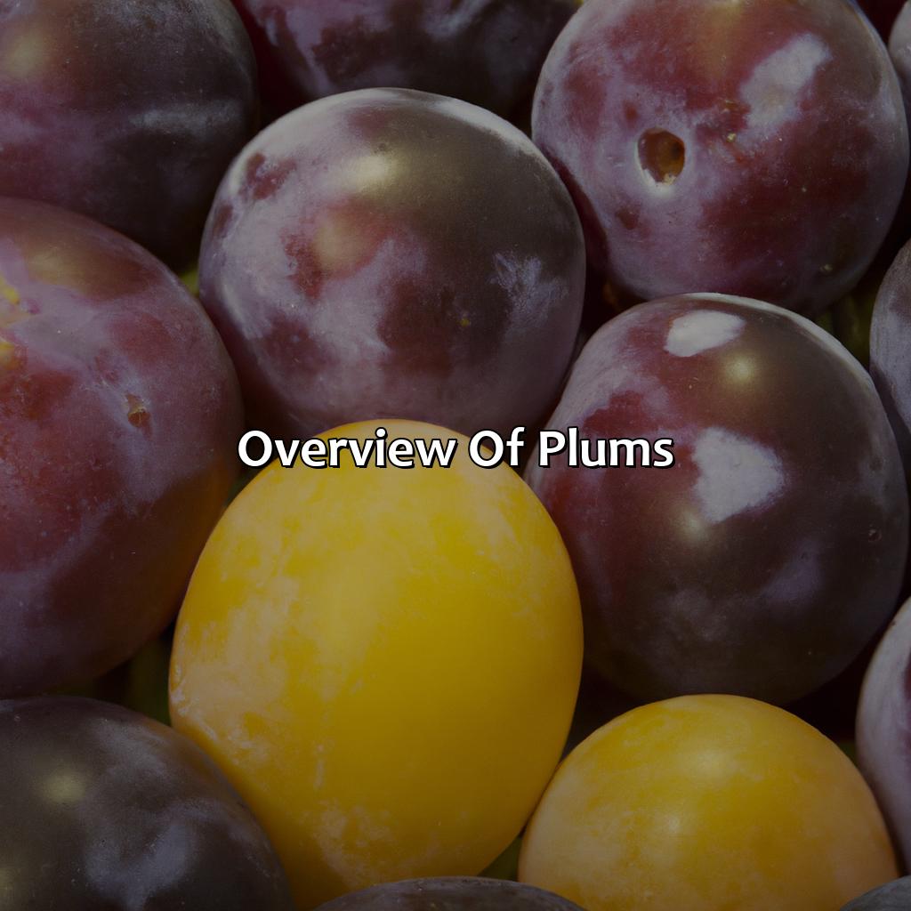 Overview Of Plums  - What Color Are Plums, 