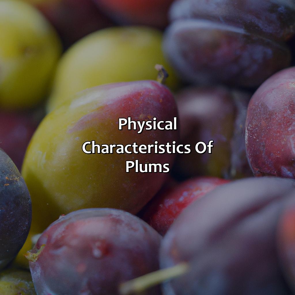 Physical Characteristics Of Plums  - What Color Are Plums, 