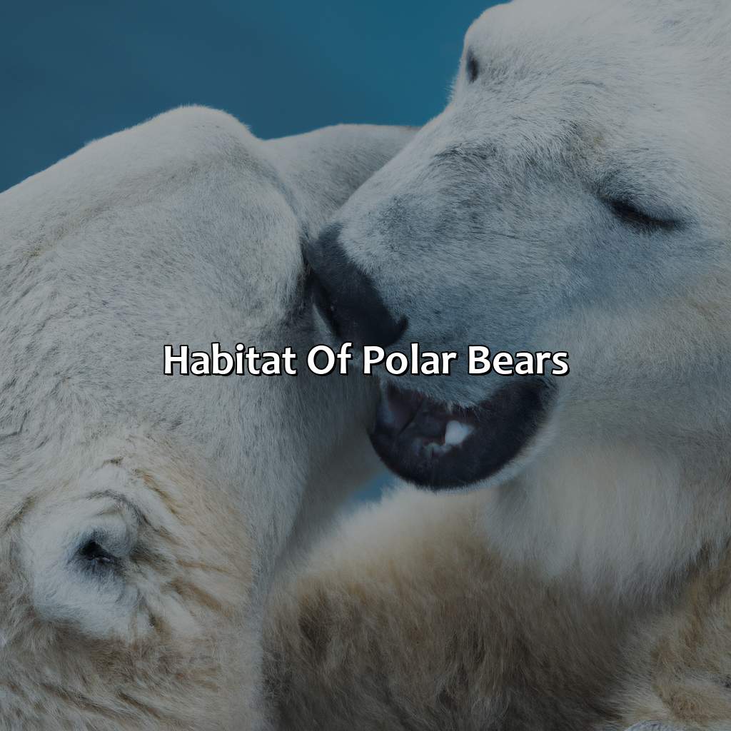 Habitat Of Polar Bears  - What Color Are Polar Bears, 