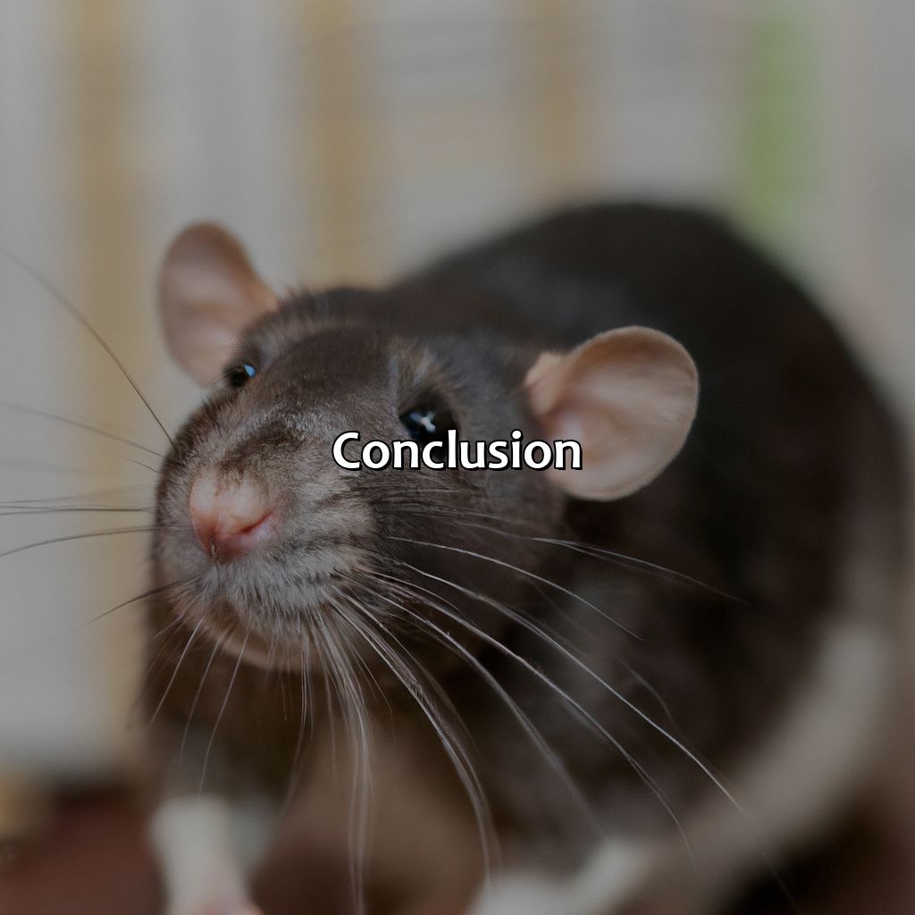 Conclusion  - What Color Are Rats, 