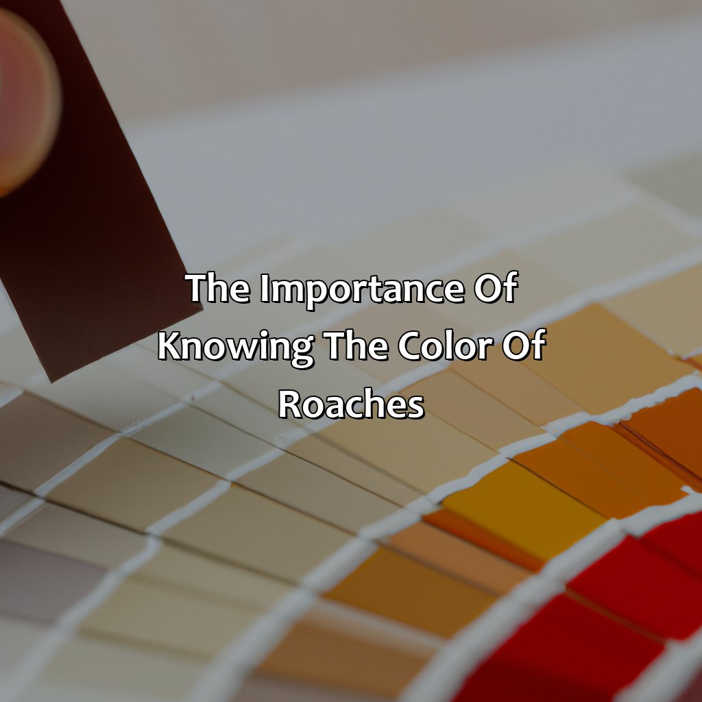 The Importance Of Knowing The Color Of Roaches - What Color Are Roaches, 