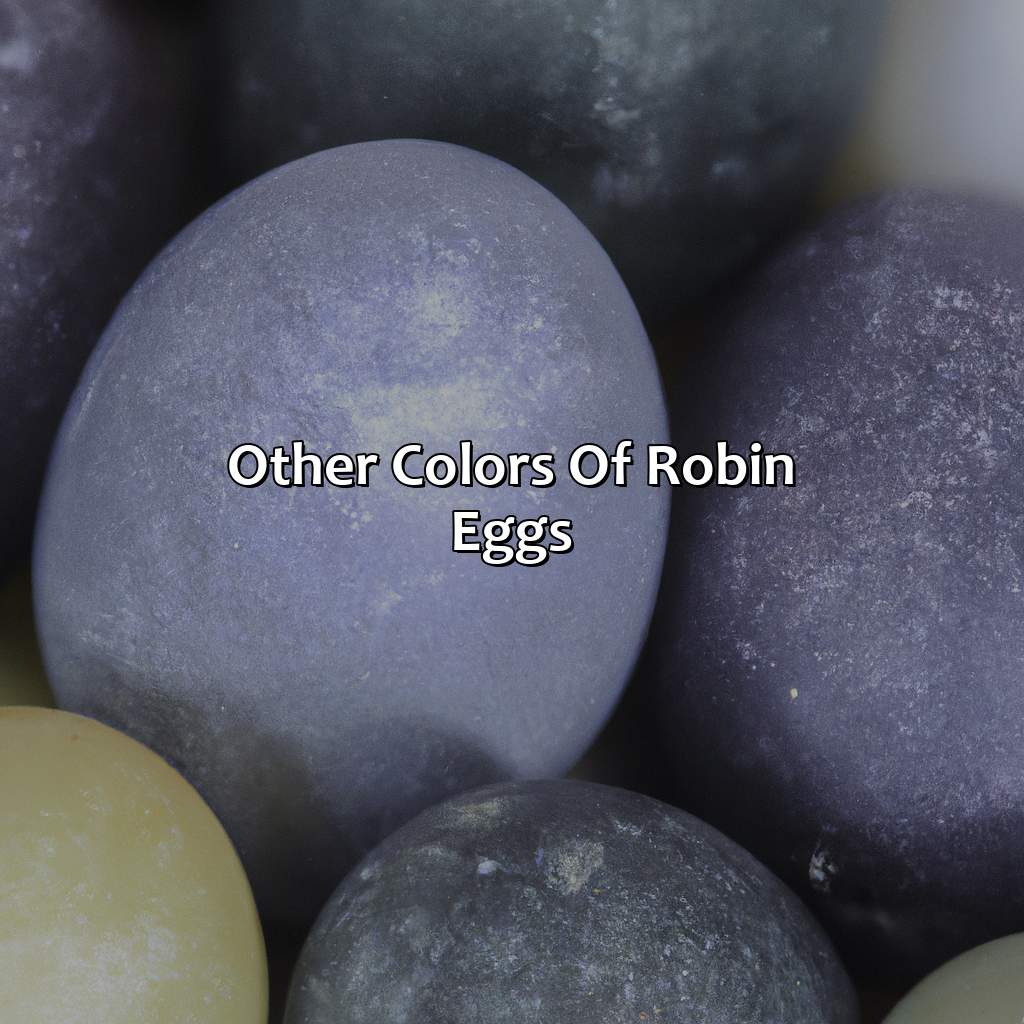 Other Colors Of Robin Eggs  - What Color Are Robins Eggs, 