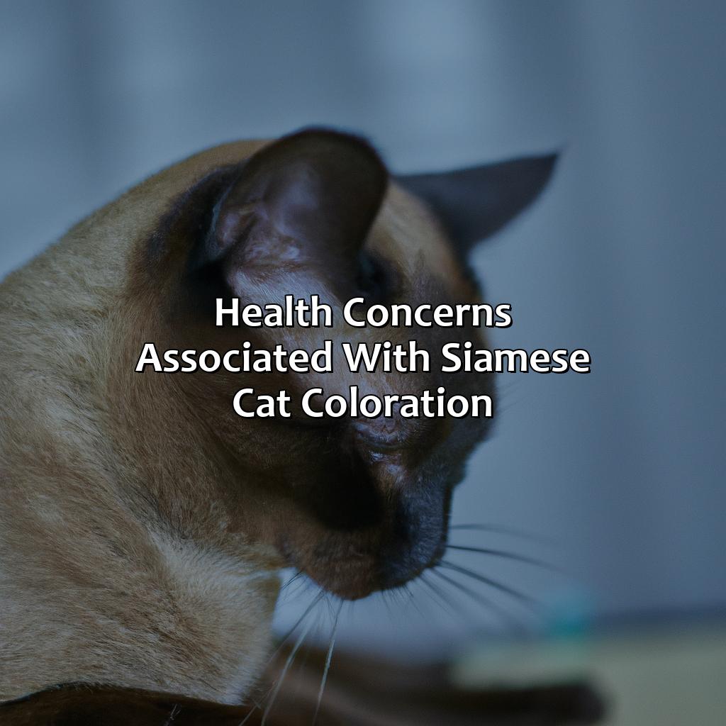 Health Concerns Associated With Siamese Cat Coloration  - What Color Are Siamese Cats, 
