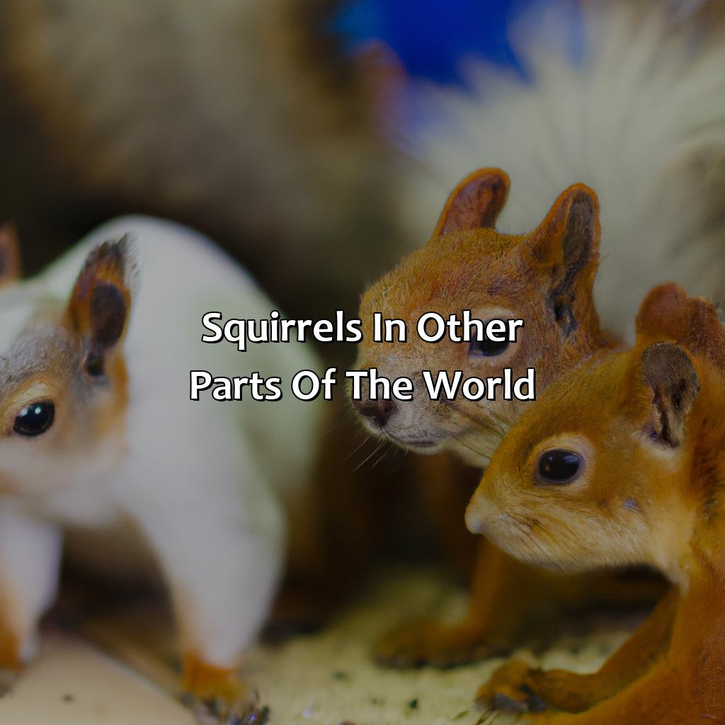 Squirrels In Other Parts Of The World  - What Color Are Squirrels, 