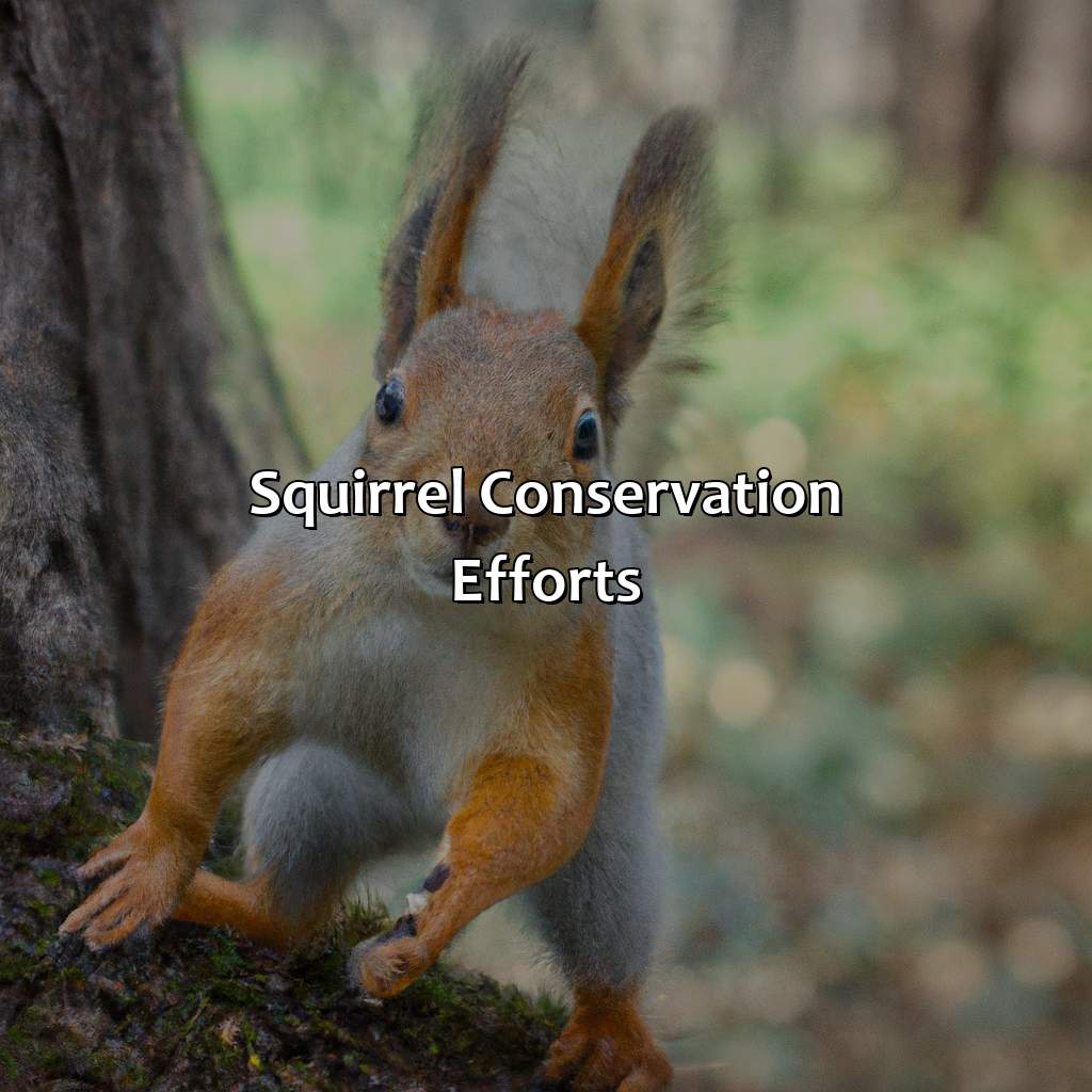 Squirrel Conservation Efforts  - What Color Are Squirrels, 