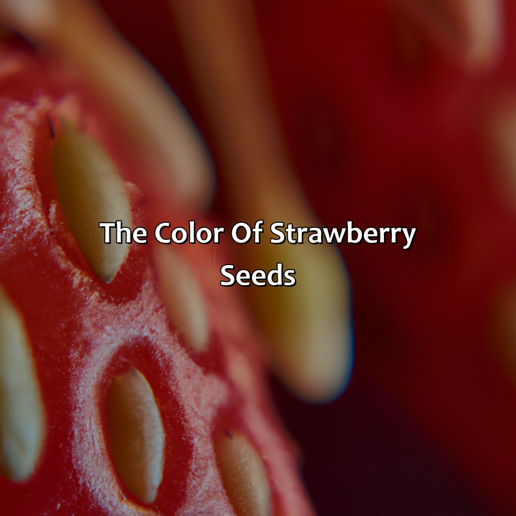 The Color Of Strawberry Seeds  - What Color Are Strawberry Seeds, 