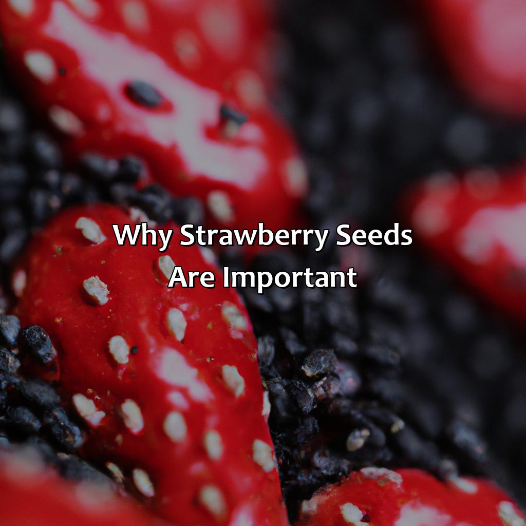 Why Strawberry Seeds Are Important  - What Color Are Strawberry Seeds, 