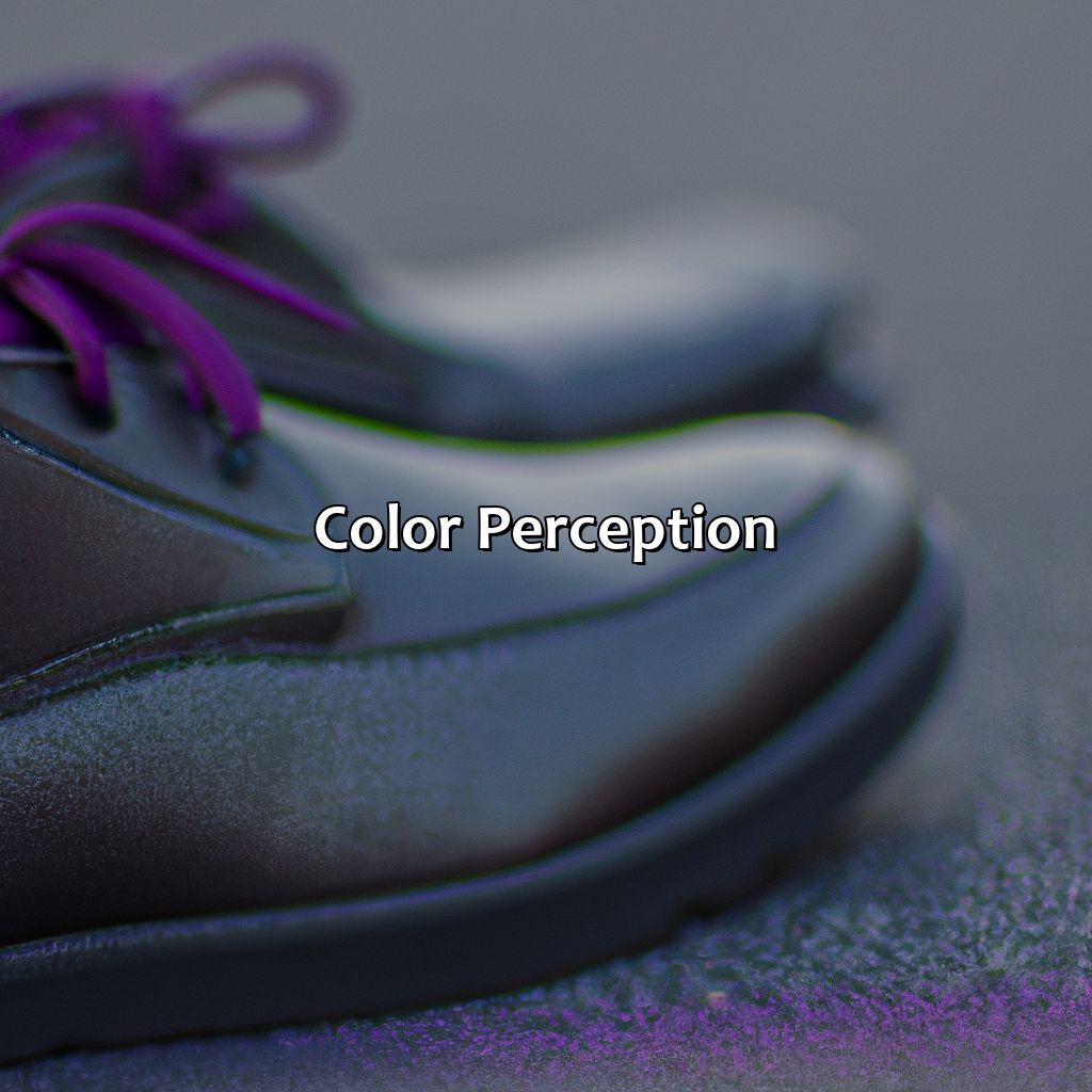 Color Perception  - What Color Are These Shoes, 
