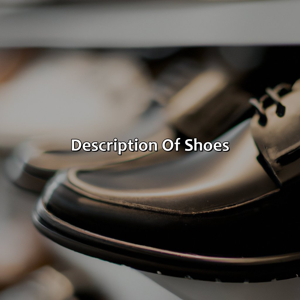 Description Of Shoes  - What Color Are These Shoes, 