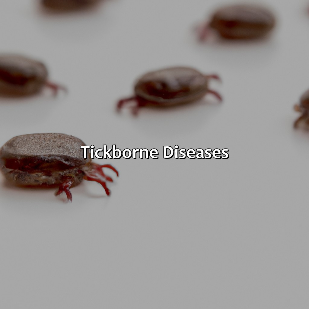 Tick-Borne Diseases  - What Color Are Ticks, 