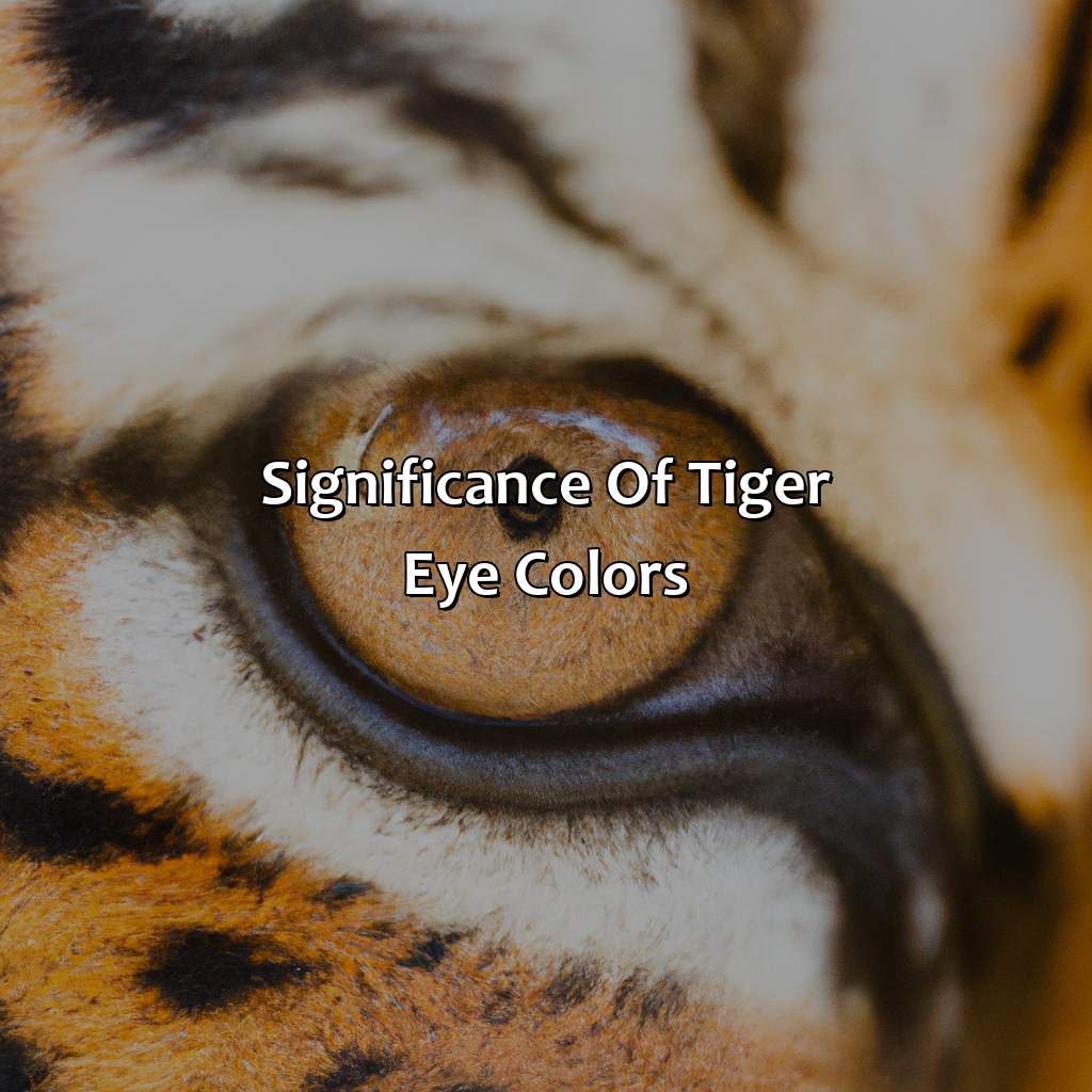 Significance Of Tiger Eye Colors  - What Color Are Tigers Eyes, 
