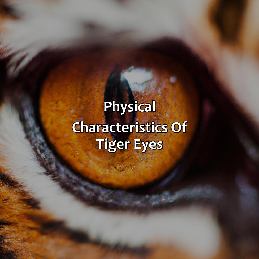 Physical Characteristics Of Tiger Eyes  - What Color Are Tigers Eyes, 