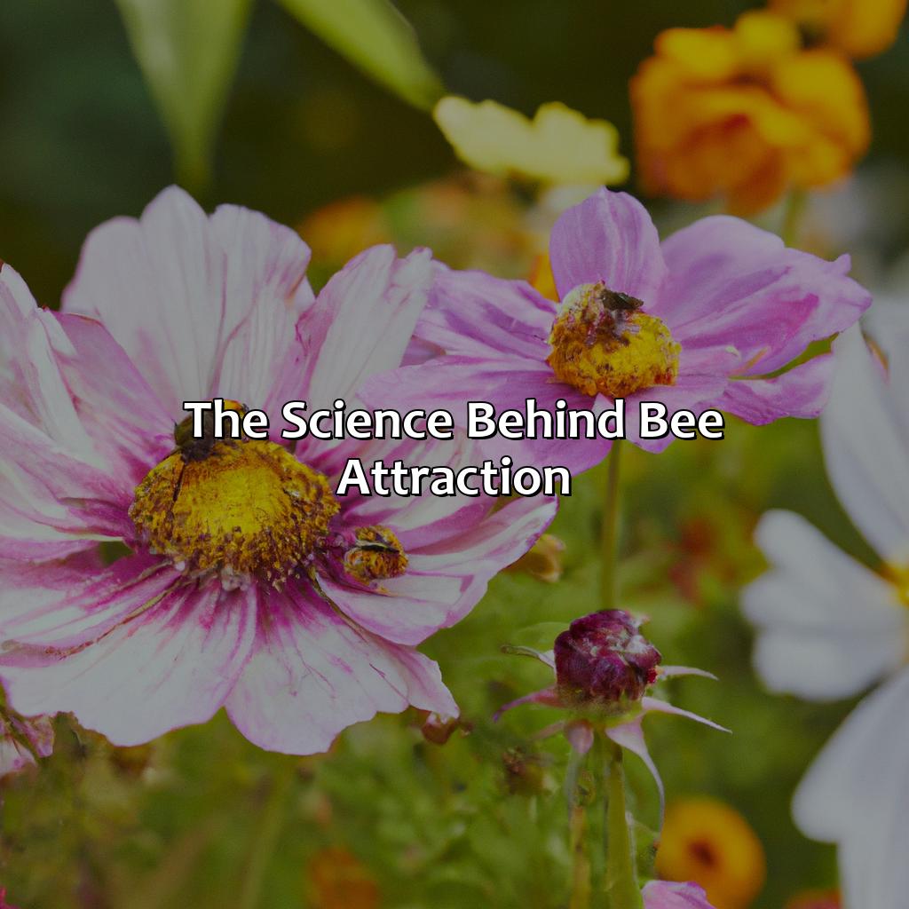 The Science Behind Bee Attraction  - What Color Attracts Bees, 
