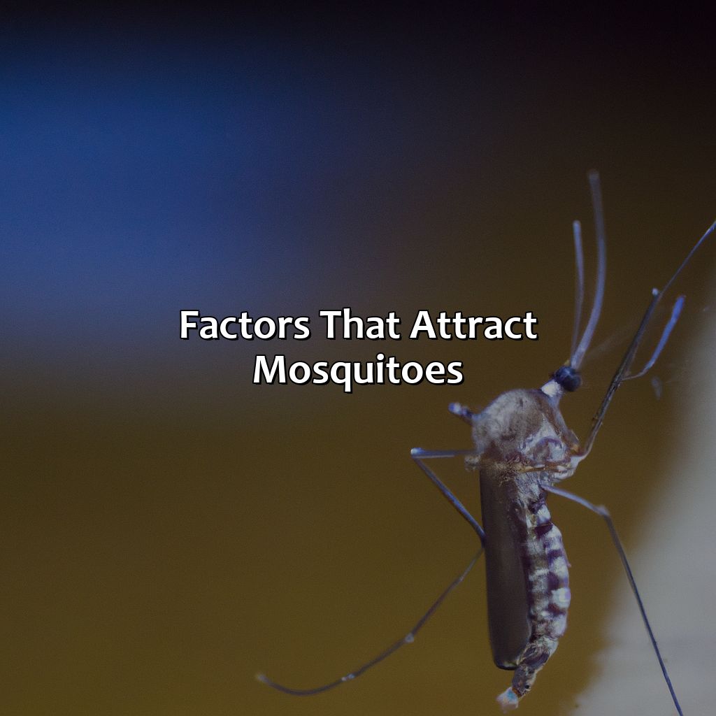 Factors That Attract Mosquitoes  - What Color Attracts Mosquitoes, 