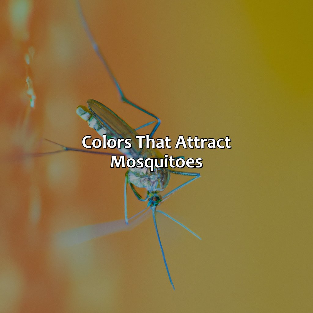 Colors That Attract Mosquitoes  - What Color Attracts Mosquitoes, 