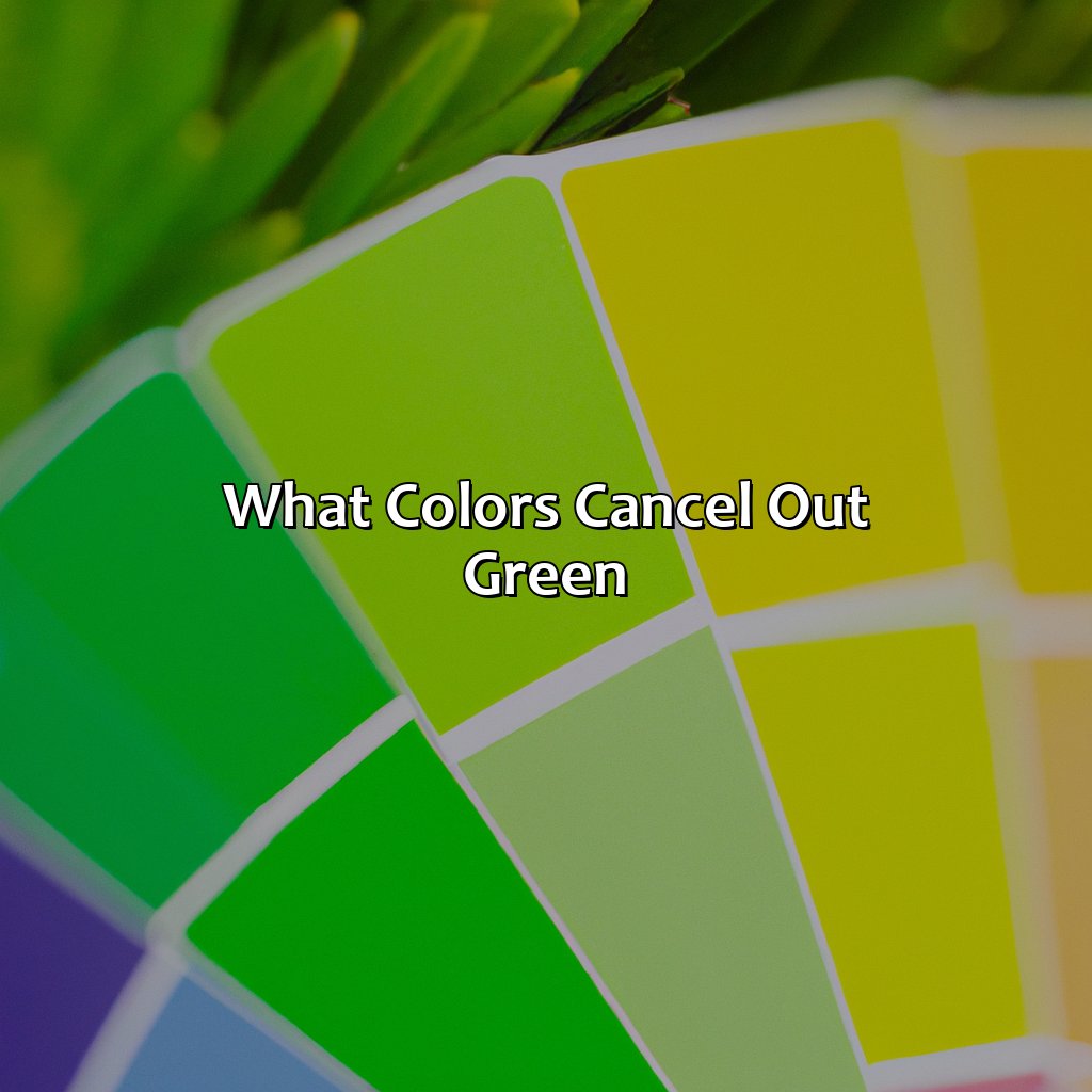 What Colors Cancel Out Green?  - What Color Cancels Out Green, 