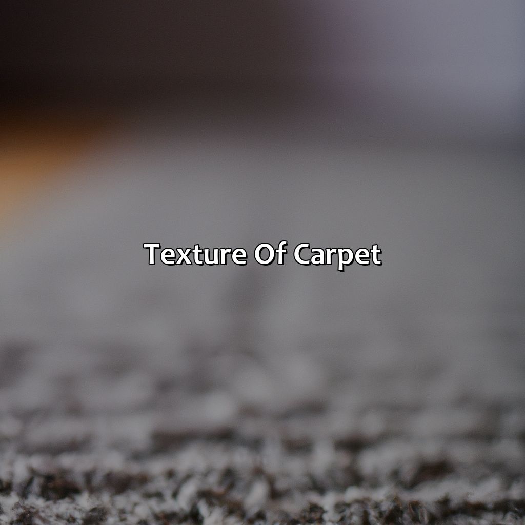 Texture Of Carpet  - What Color Carpet Goes With Gray Walls, 