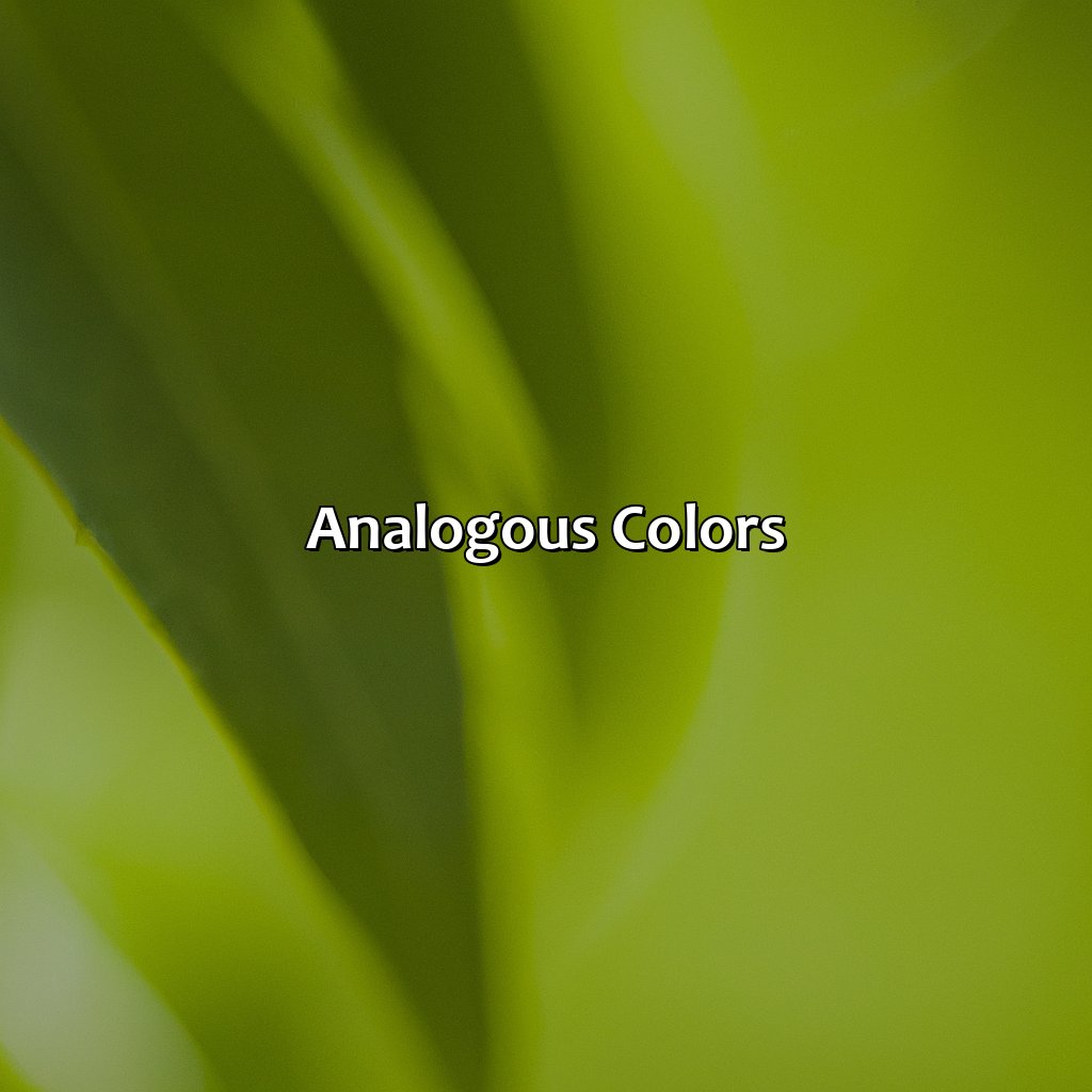 Analogous Colors  - What Color Compliments Green, 