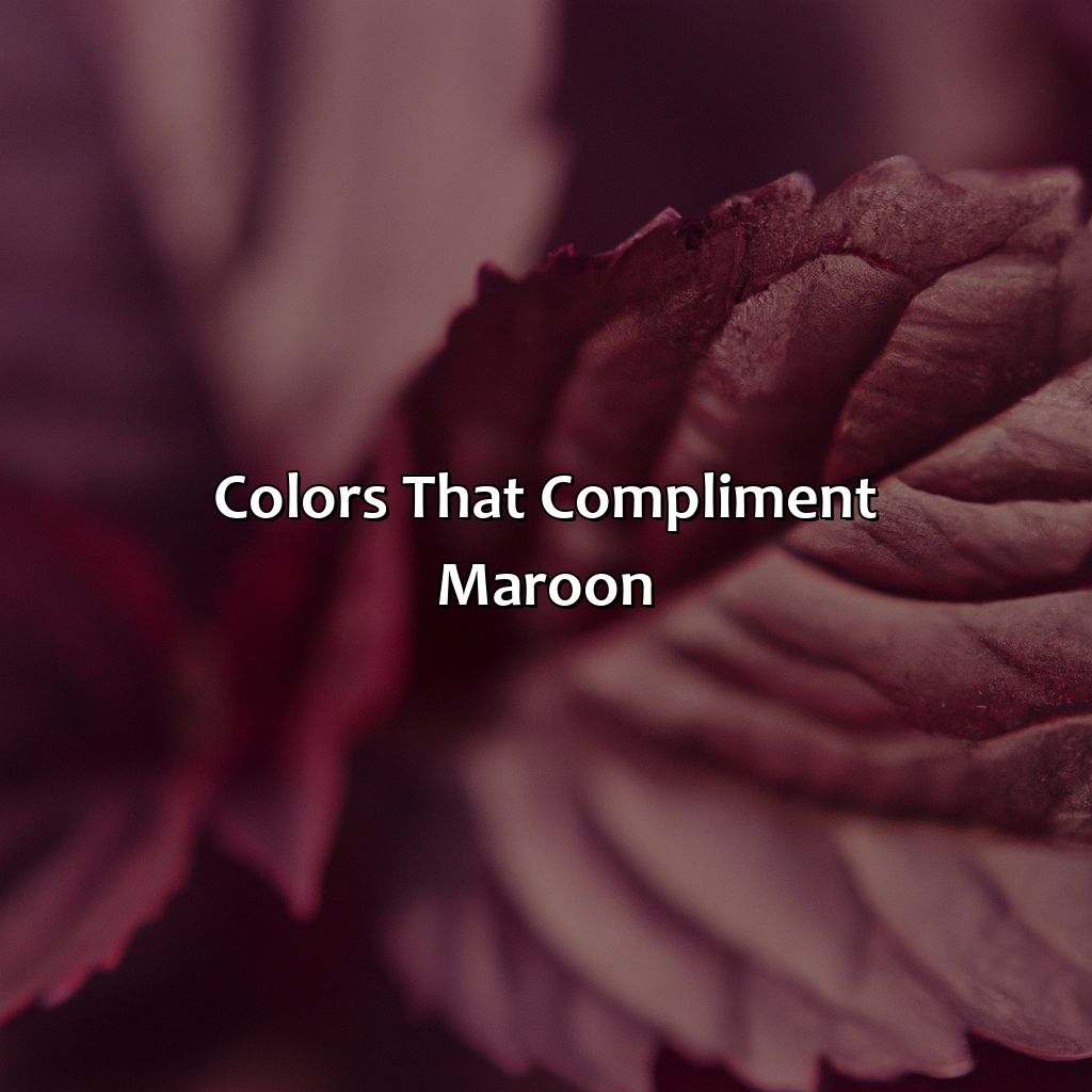 Colors That Compliment Maroon  - What Color Compliments Maroon, 