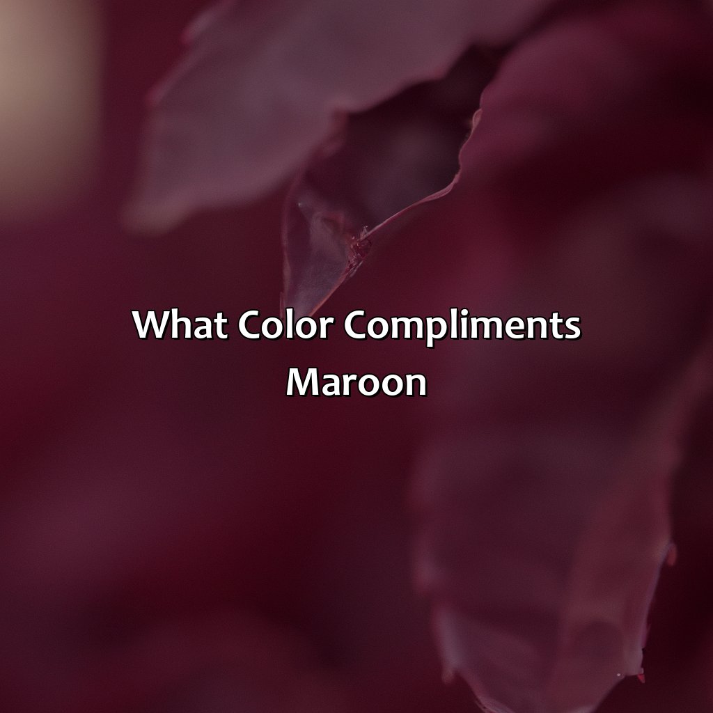 What Color Compliments Maroon?  - What Color Compliments Maroon, 