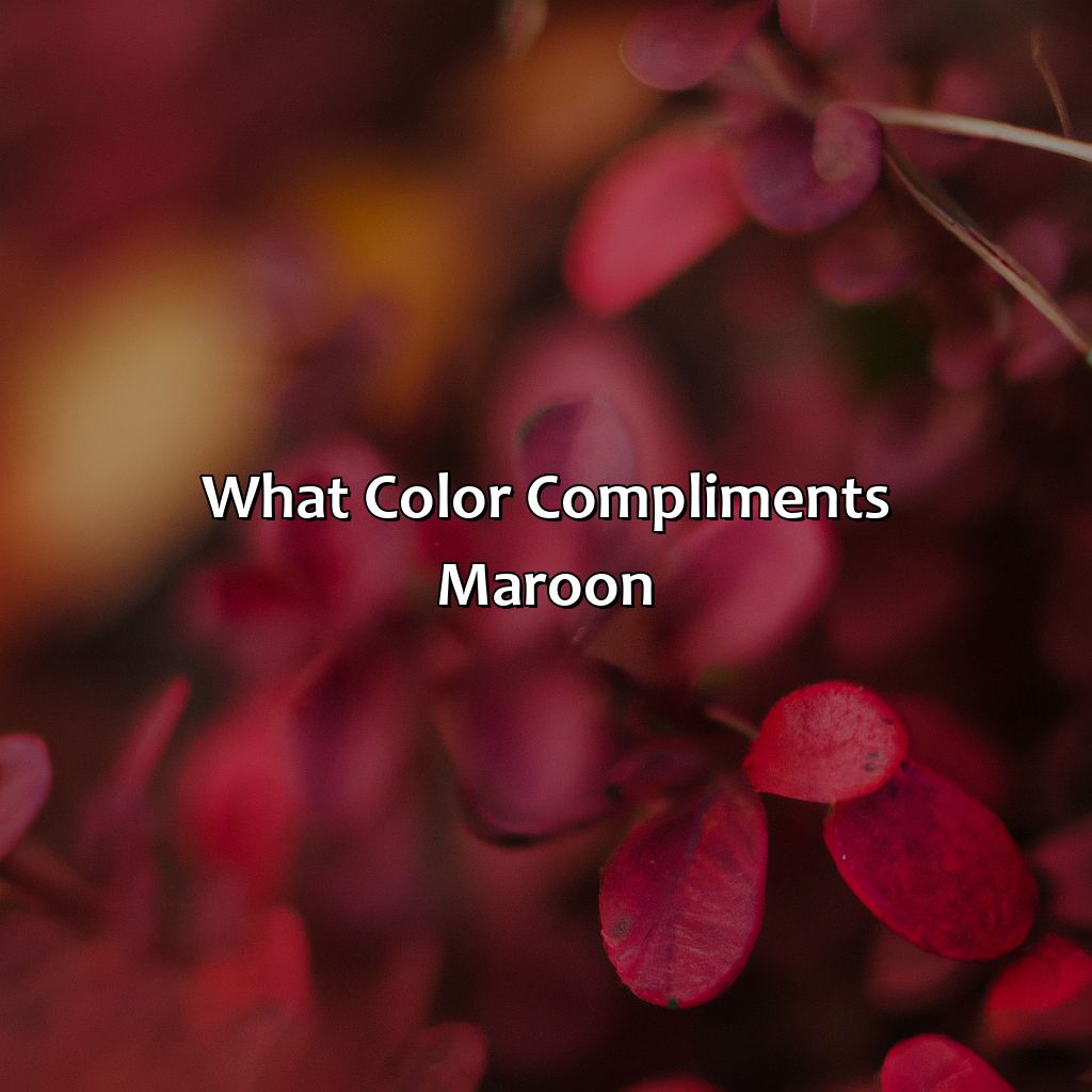 What Color Compliments Maroon - colorscombo.com