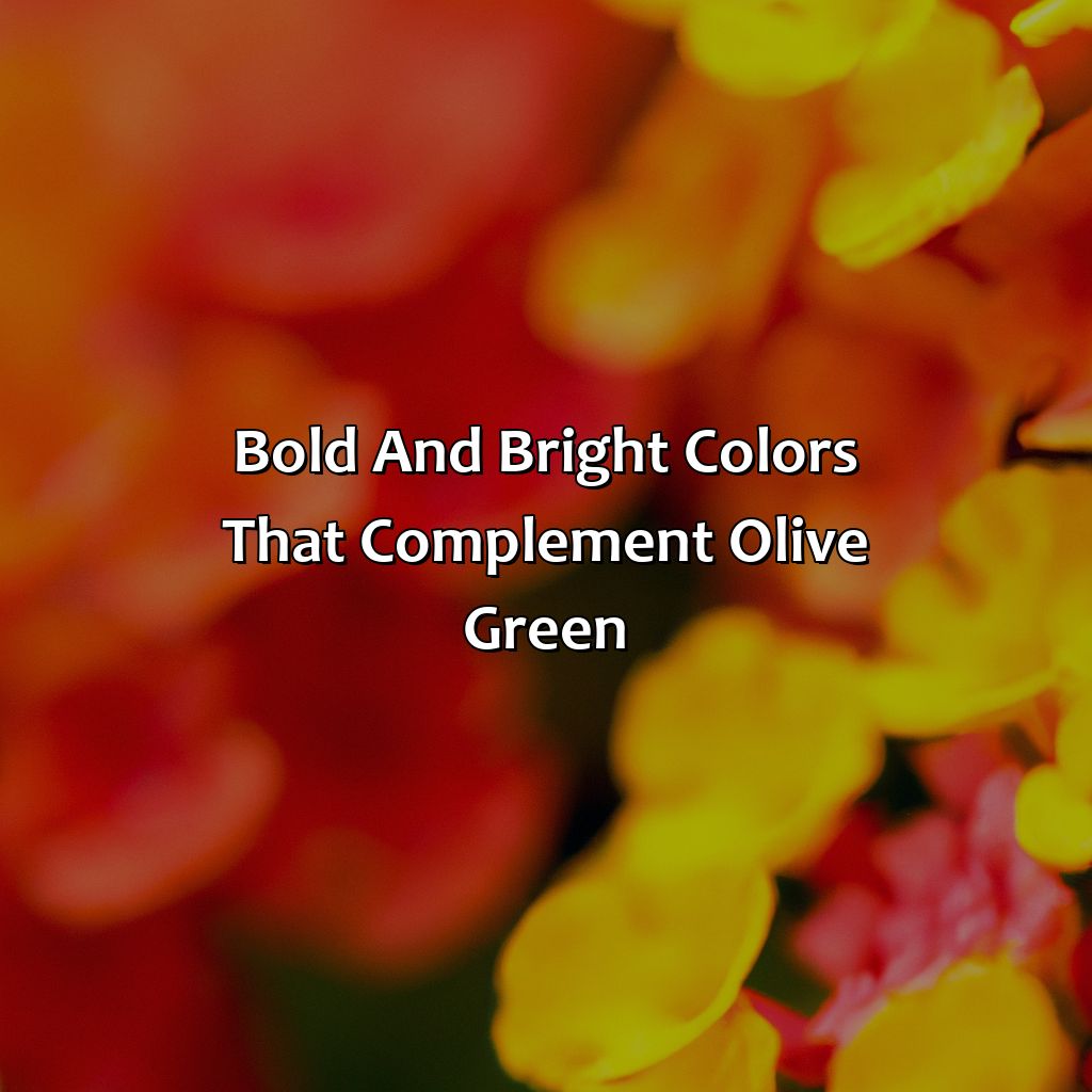 Bold And Bright Colors That Complement Olive Green  - What Color Compliments Olive Green, 