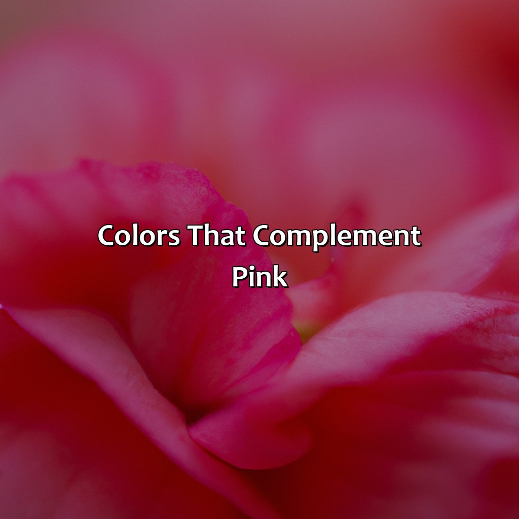 What Color Compliments Pink - colorscombo.com