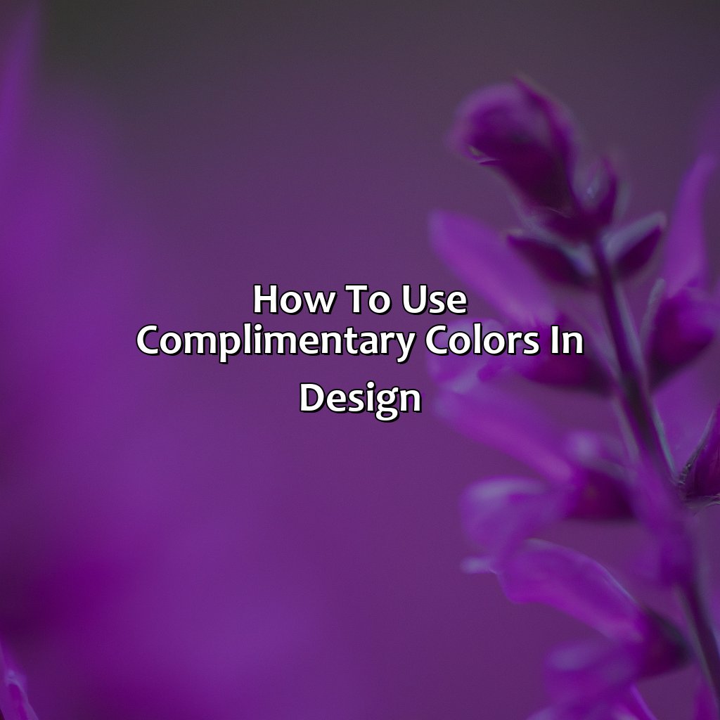 How To Use Complimentary Colors In Design  - What Color Compliments Purple, 