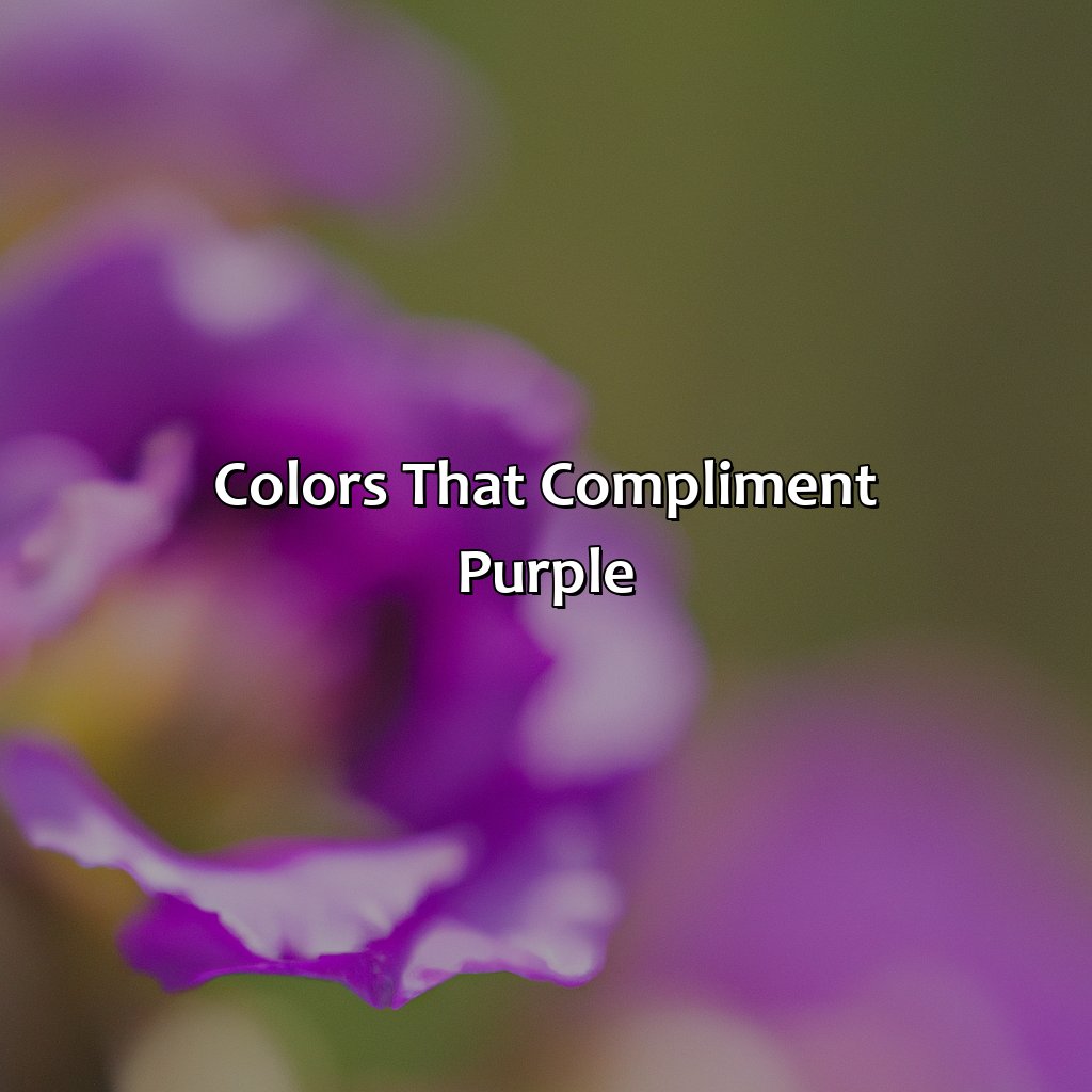 Colors That Compliment Purple  - What Color Compliments Purple, 