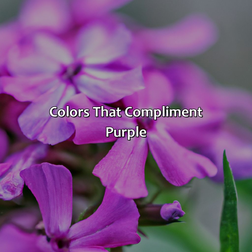 Colors That Compliment Purple  - What Color Compliments Purple, 