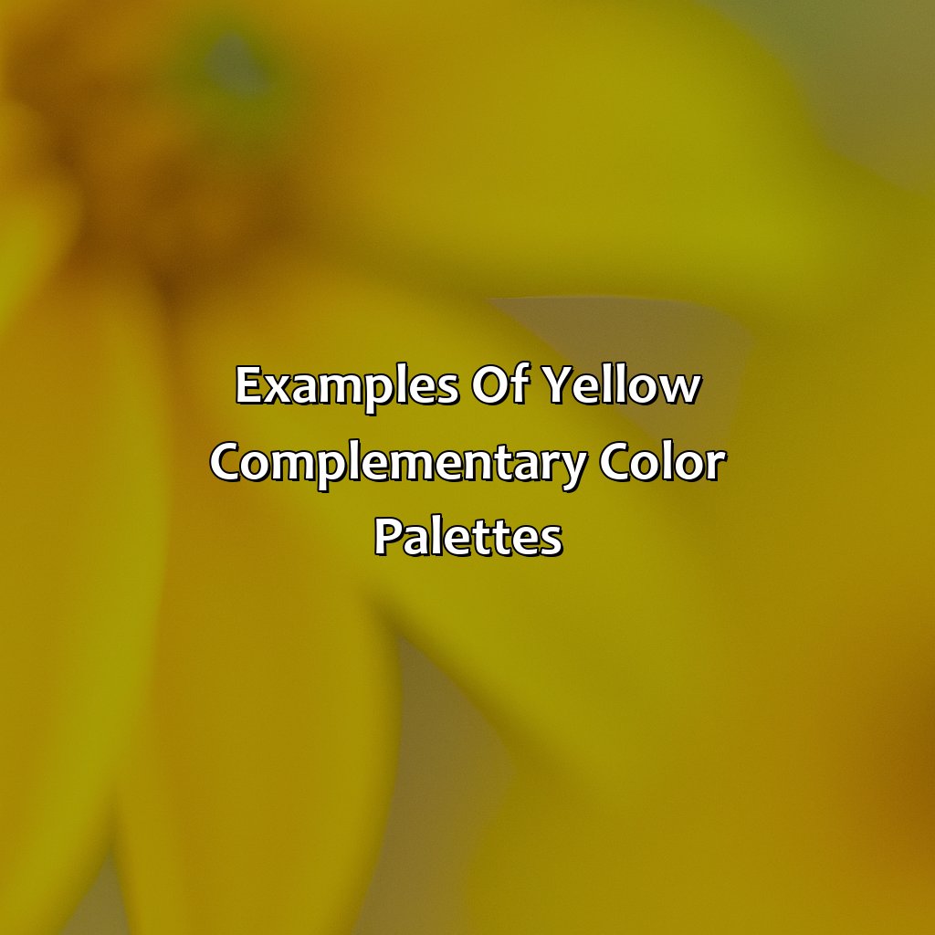 Examples Of Yellow Complementary Color Palettes  - What Color Compliments Yellow, 