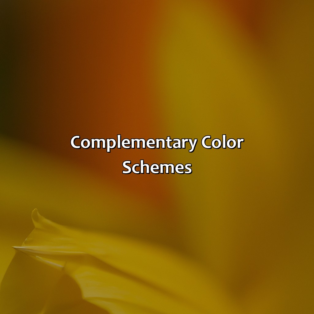 Complementary Color Schemes  - What Color Compliments Yellow, 