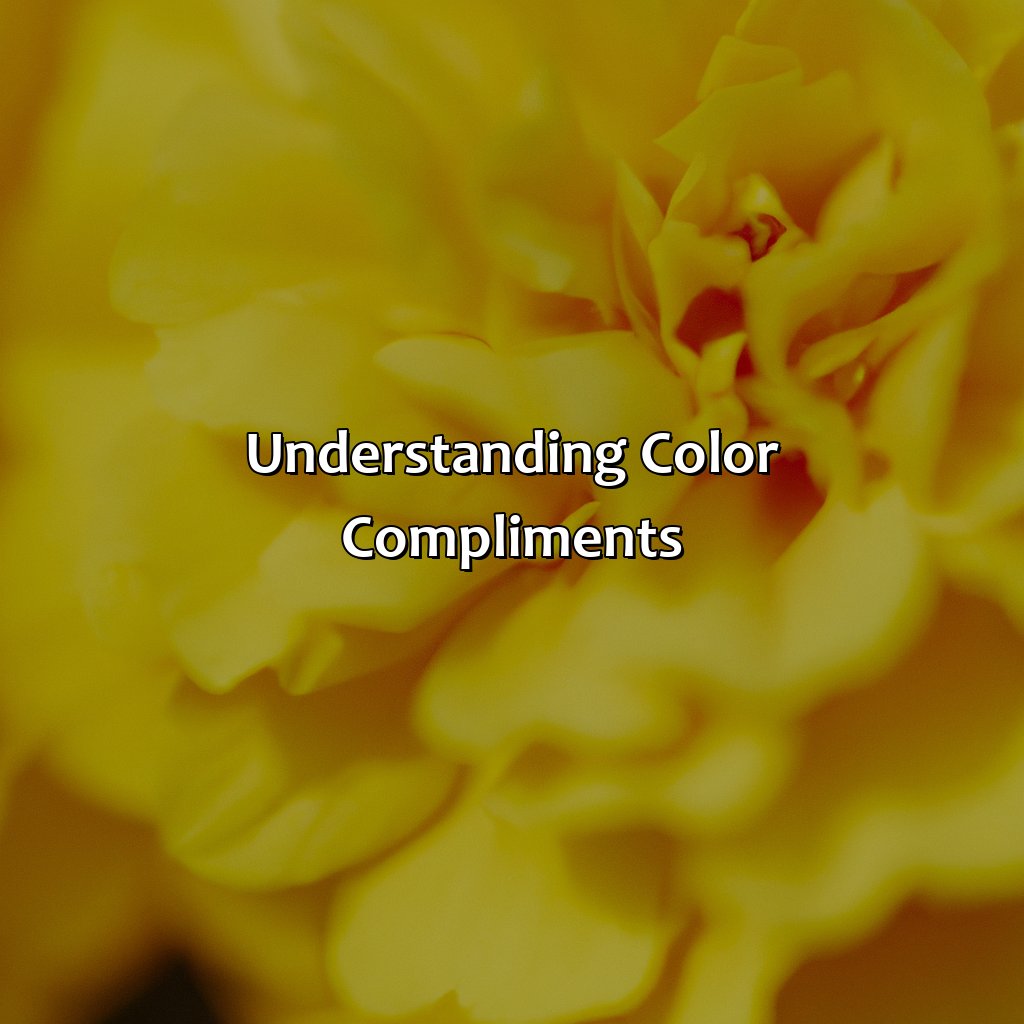 Understanding Color Compliments  - What Color Compliments Yellow, 