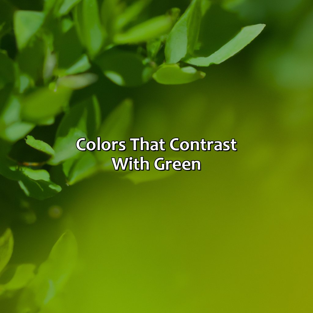 Colors That Contrast With Green  - What Color Contrasts With Green, 
