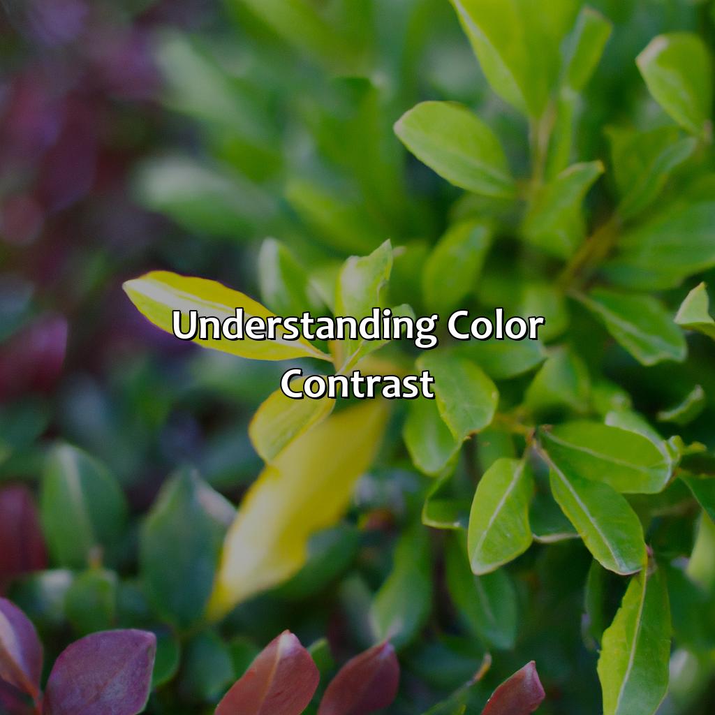 Understanding Color Contrast  - What Color Contrasts With Green, 