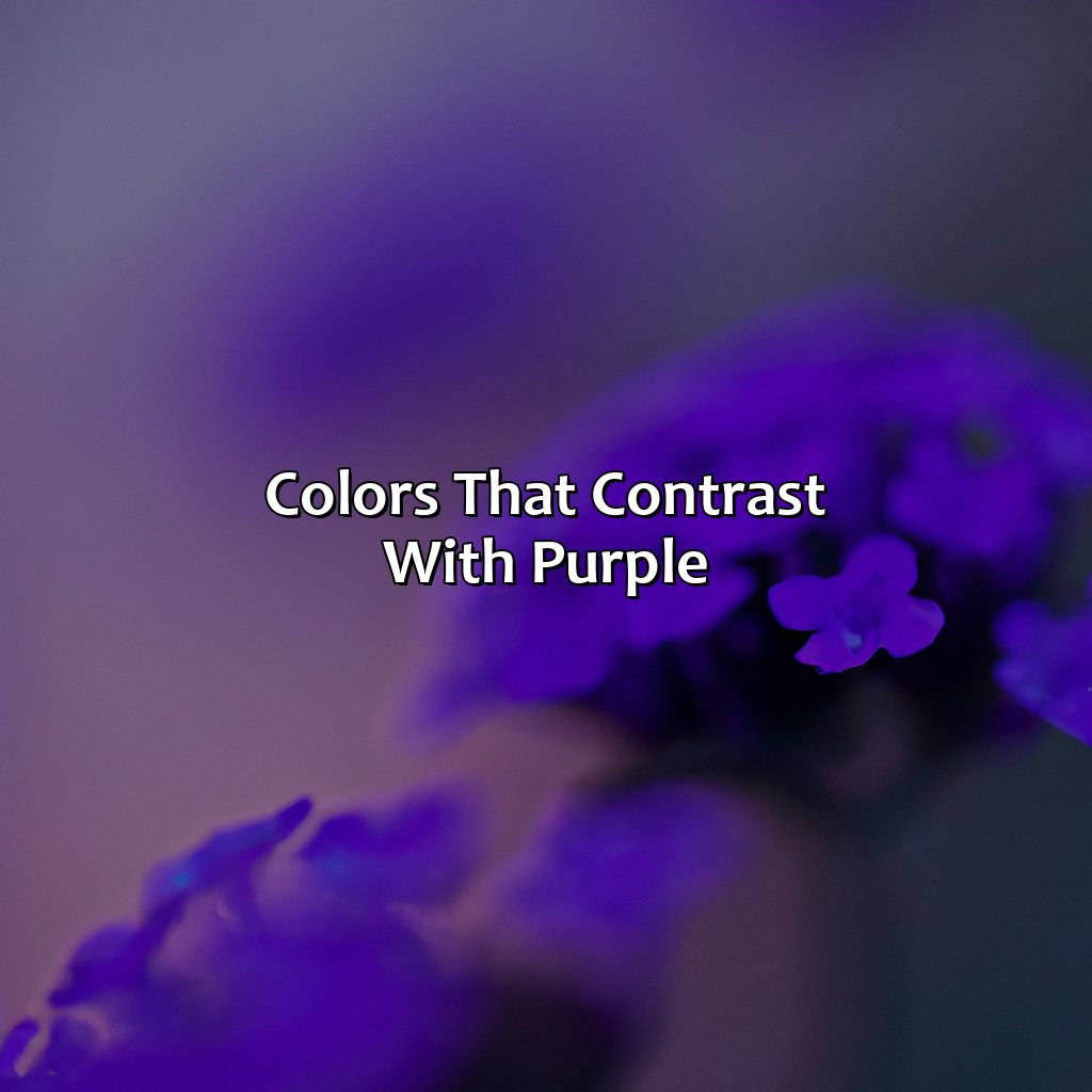 Colors That Contrast With Purple  - What Color Contrasts With Purple, 