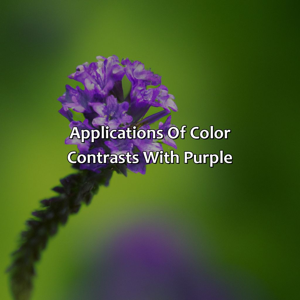 Applications Of Color Contrasts With Purple  - What Color Contrasts With Purple, 
