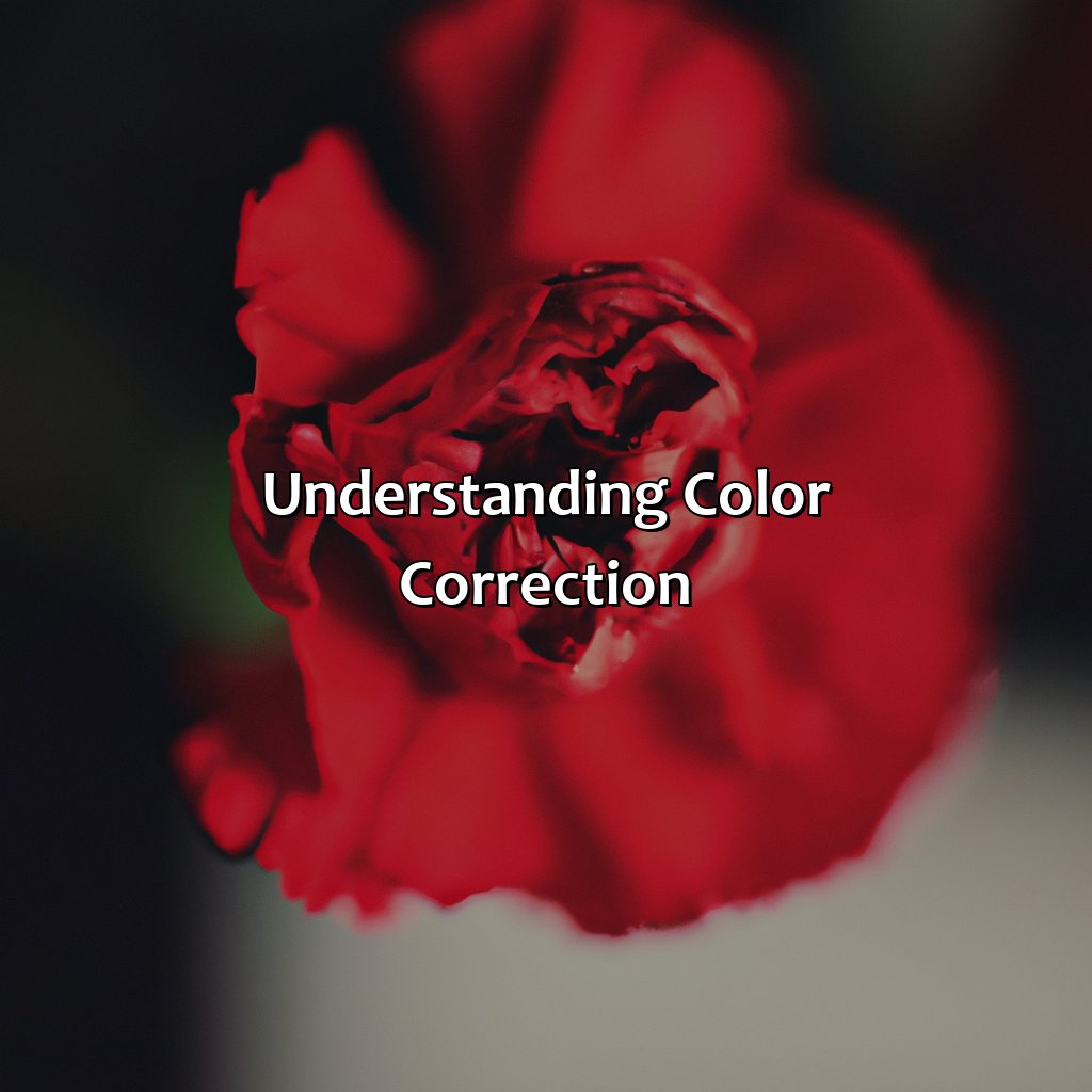 Understanding Color Correction  - What Color Corrects Red, 