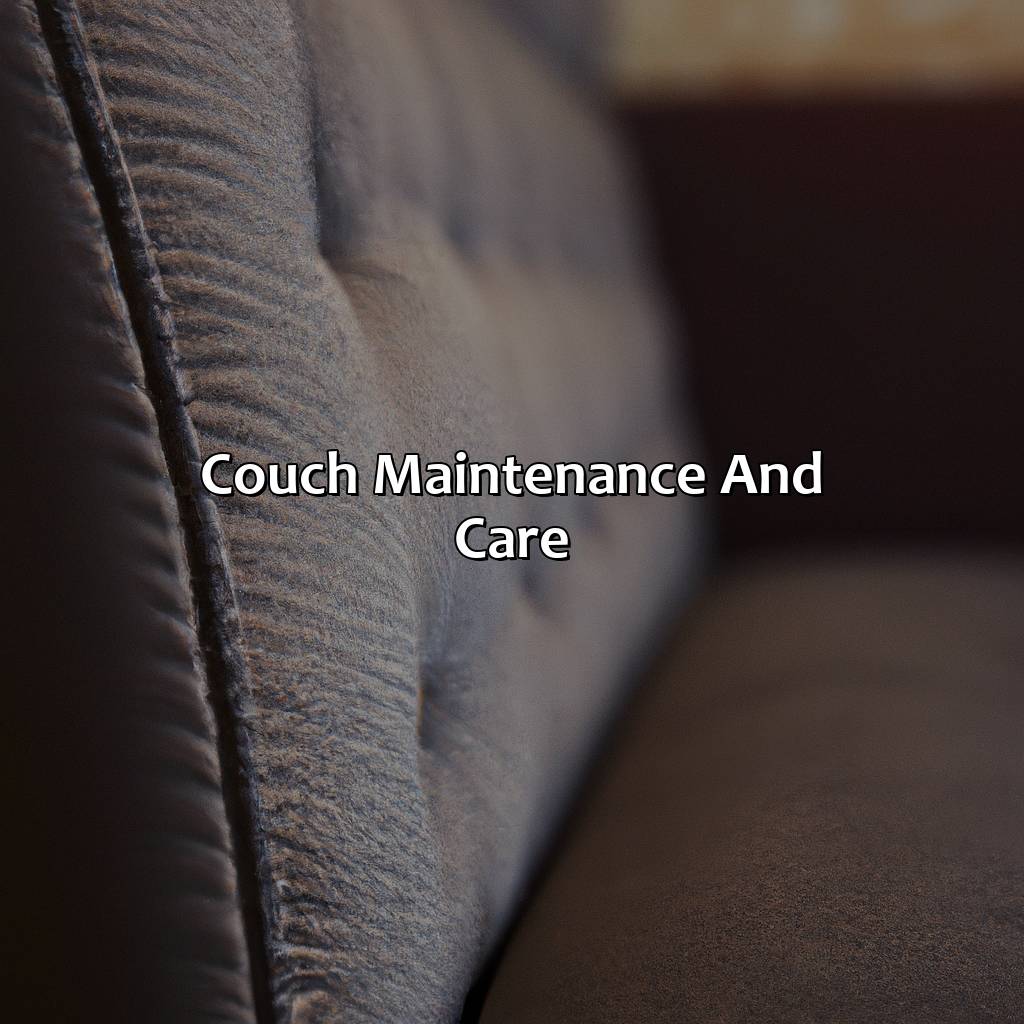 Couch Maintenance And Care  - What Color Couch Should I Get, 