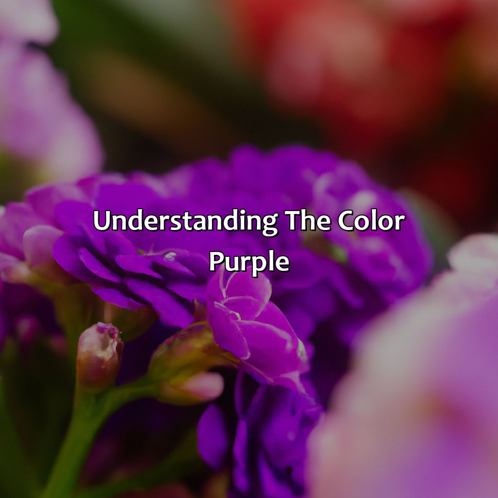 Understanding The Color Purple  - What Color Covers Purple, 