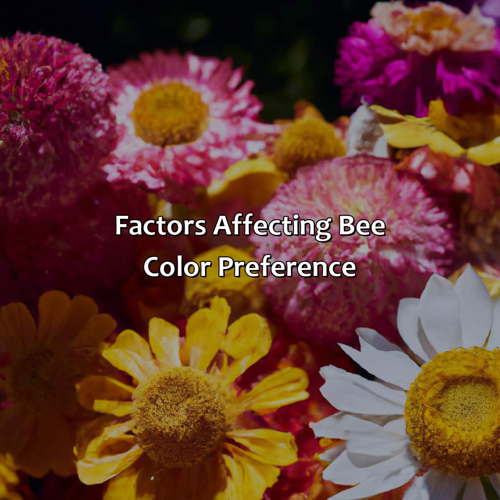 Factors Affecting Bee Color Preference  - What Color Do Bees Like, 