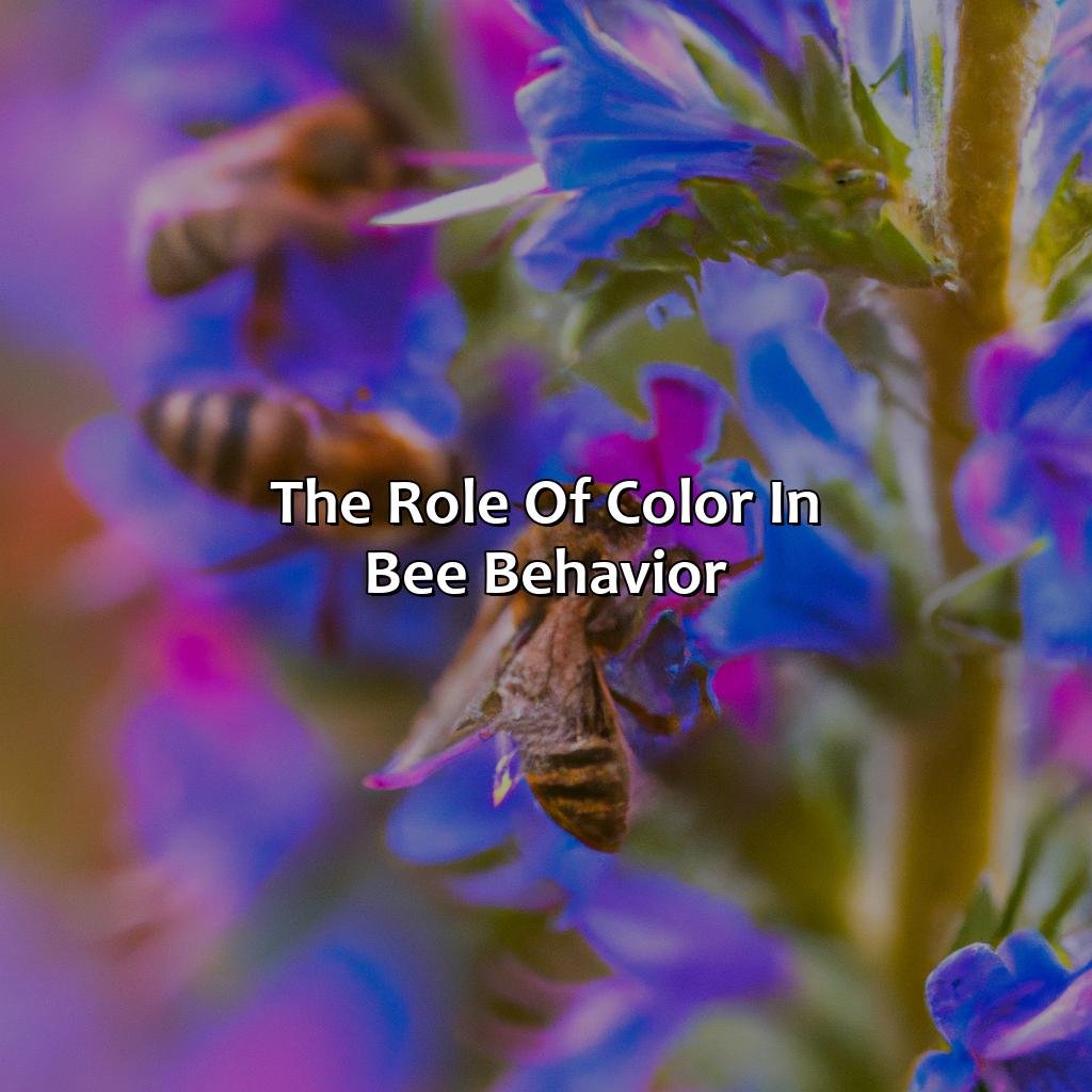 The Role Of Color In Bee Behavior  - What Color Do Bees Like, 