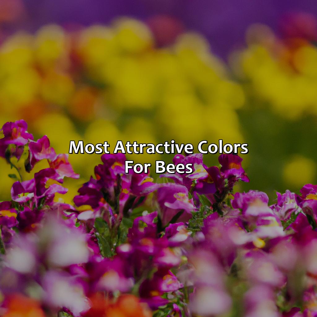 Most Attractive Colors For Bees  - What Color Do Bees Like, 