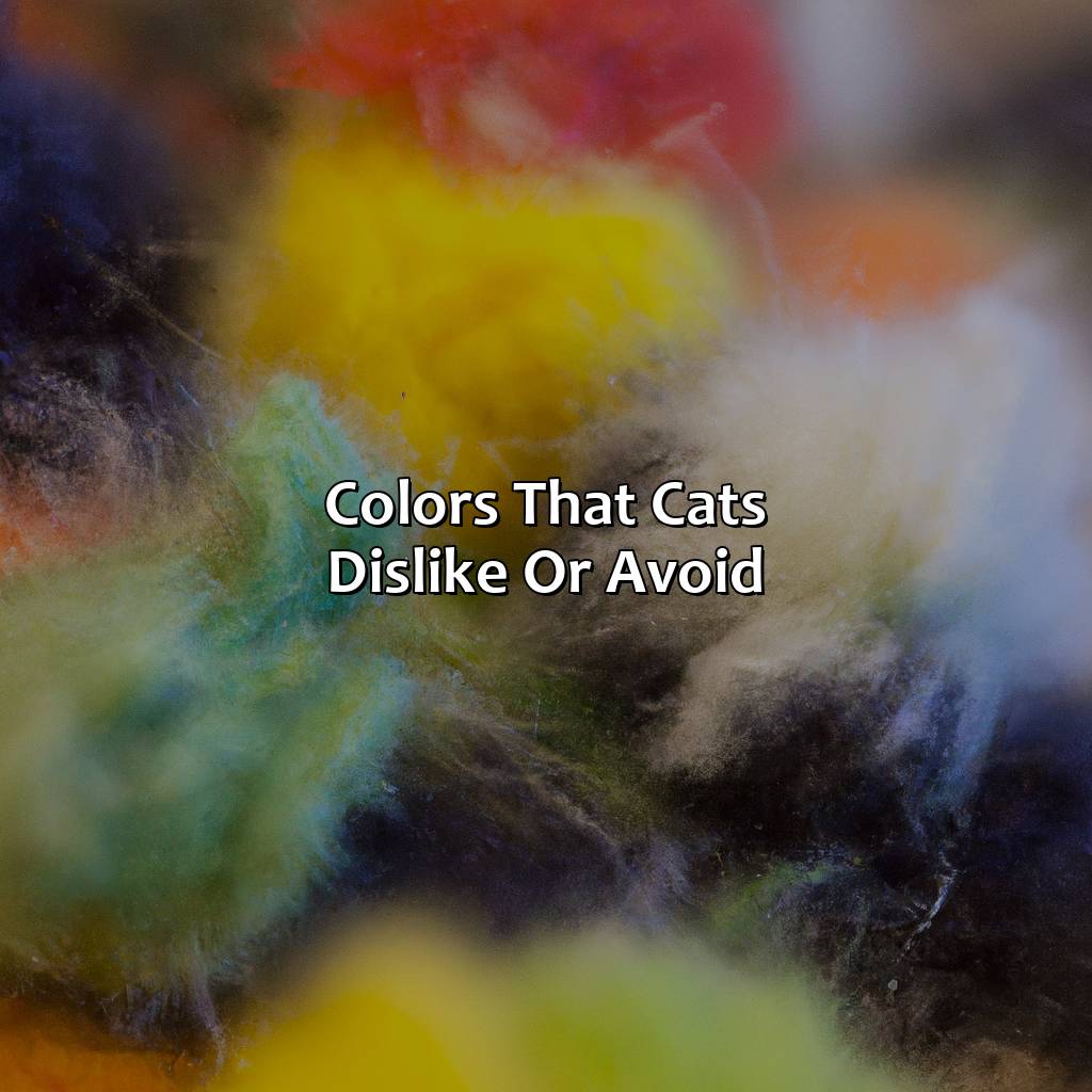 Colors That Cats Dislike Or Avoid  - What Color Do Cats Like, 