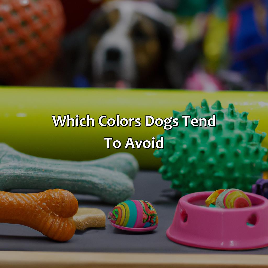 Which Colors Dogs Tend To Avoid?  - What Color Do Dogs Like, 