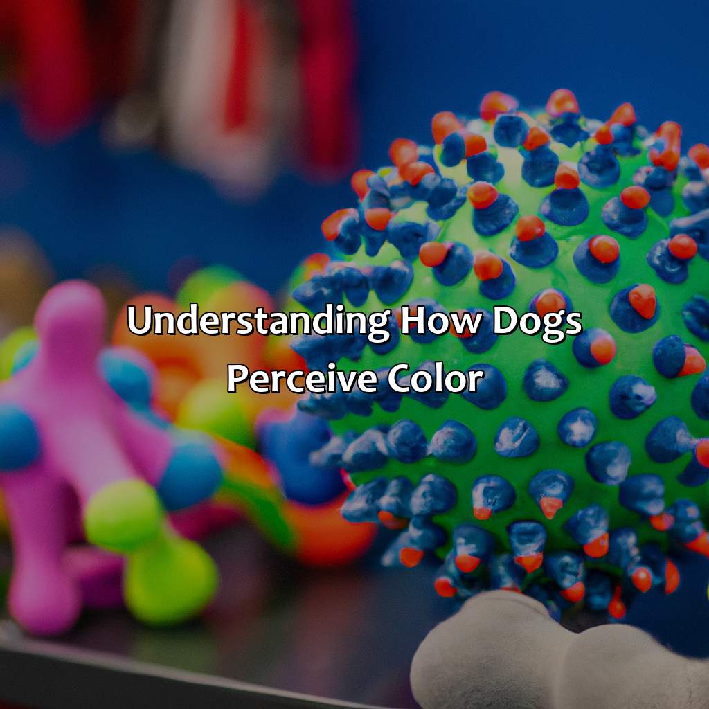 Understanding How Dogs Perceive Color  - What Color Do Dogs Like, 