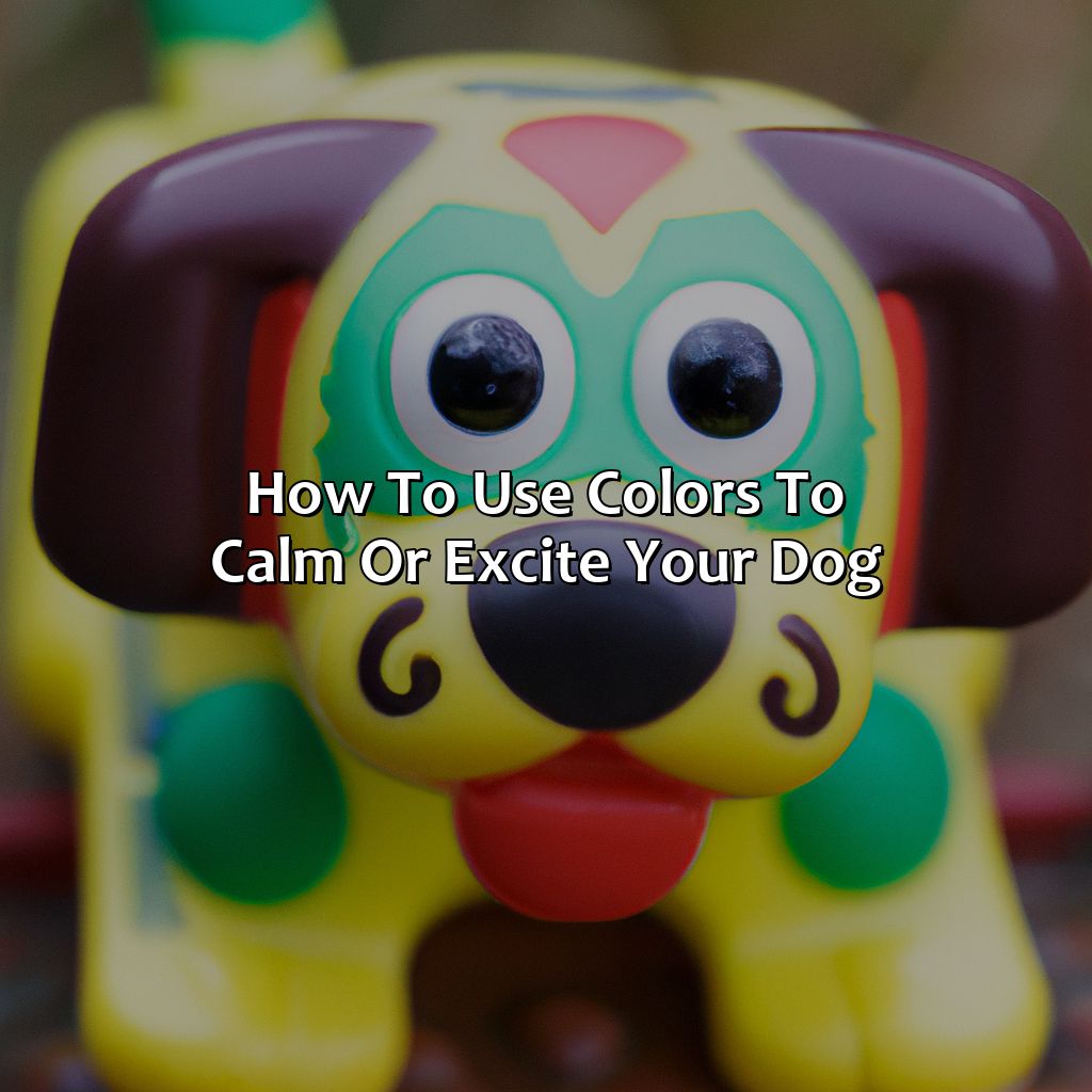 How To Use Colors To Calm Or Excite Your Dog  - What Color Do Dogs Like, 