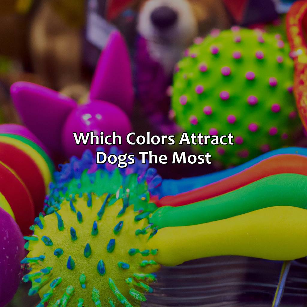 Which Colors Attract Dogs The Most?  - What Color Do Dogs Like, 