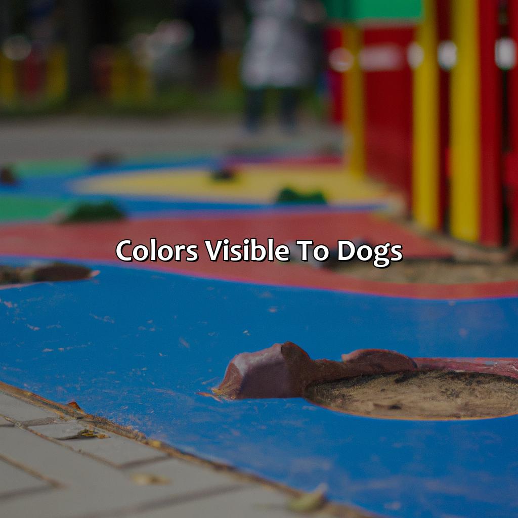 Colors Visible To Dogs  - What Color Do Dogs See Best, 